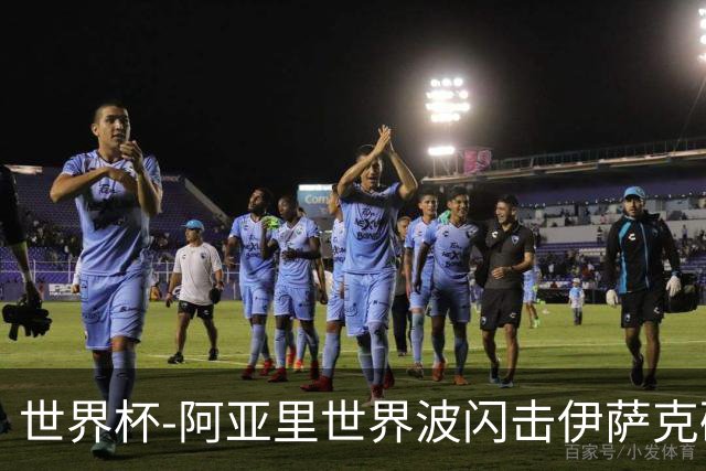 世界杯-阿亚里世界波闪击伊萨克破门 半场瑞典2-1突尼斯